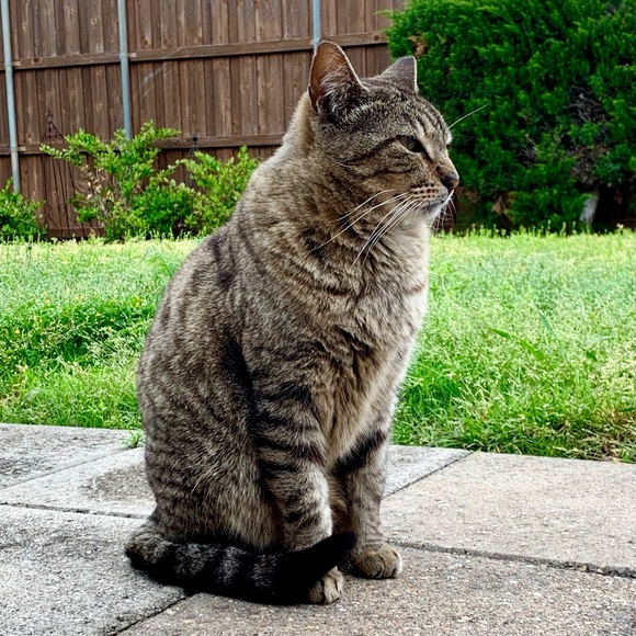 Stripes & Baby - Picture 8 of 8
